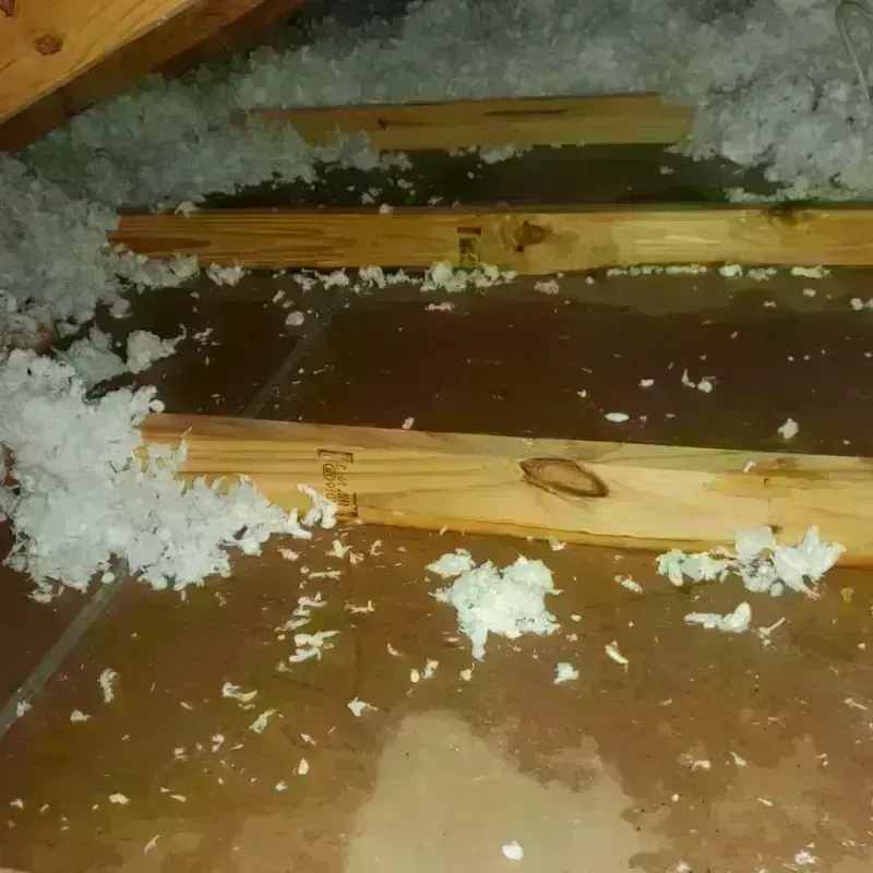 Attic Water Damage in Lake Purdy, AL