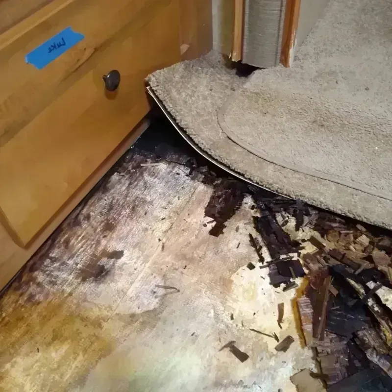 Best Wood Floor Water Damage Service in Lake Purdy, AL